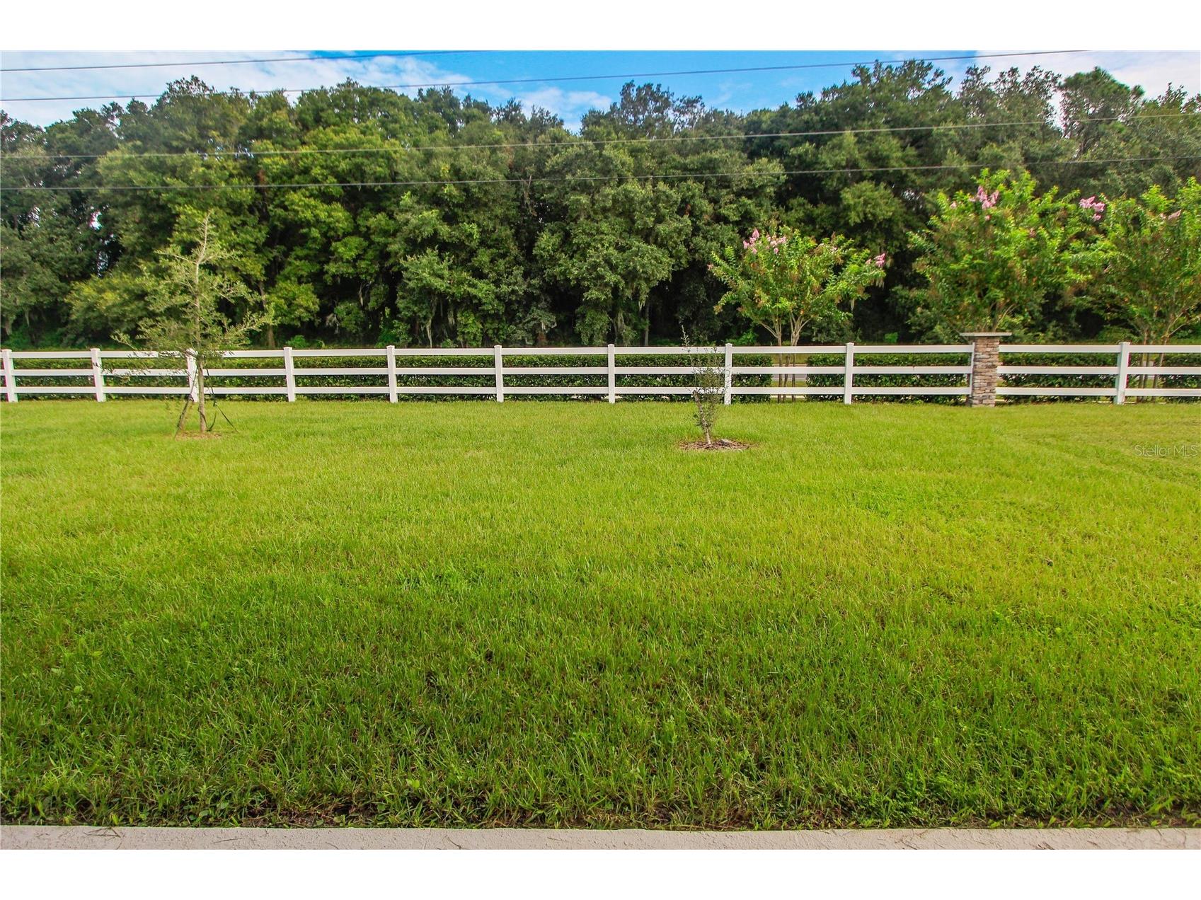 5208 Meadow Song Drive Okahumpka FL 34762 G5111058 image6