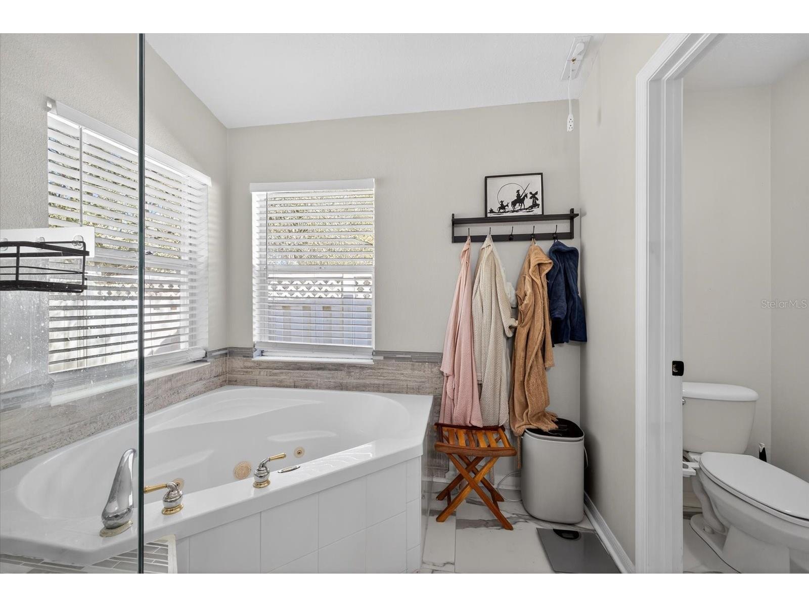 5209 Abbey Park Avenue Tampa FL 33647 W7883567 image25