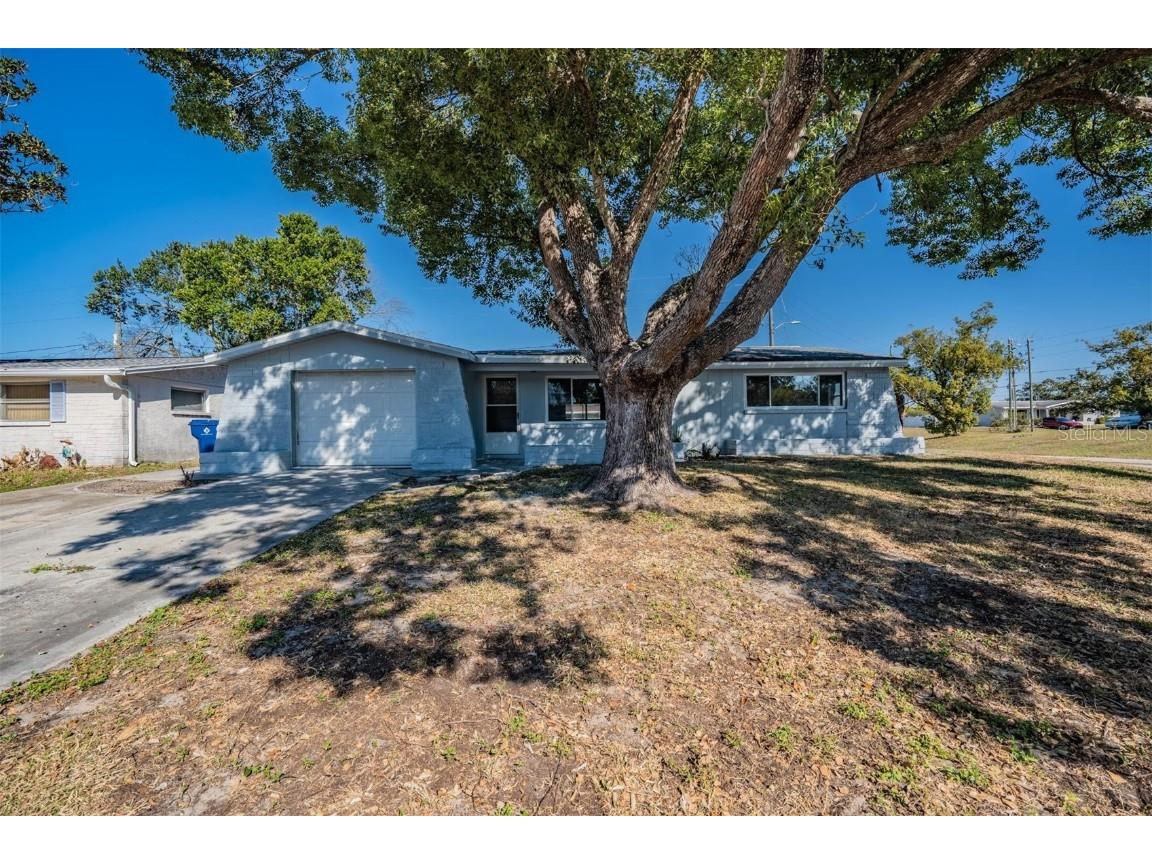 5209 Beacon Hill Drive New Port Richey FL 34652 TB8455073 image39