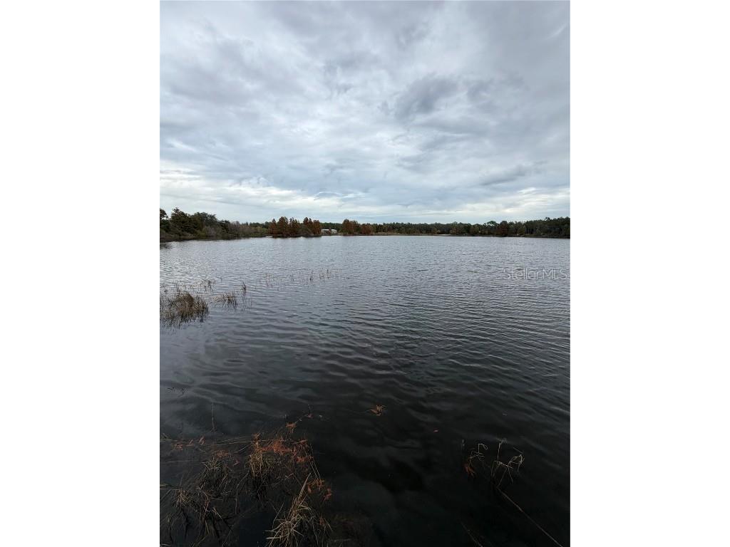 5209 Cape Hatteras Drive Clermont FL 34714 O6364260 image40