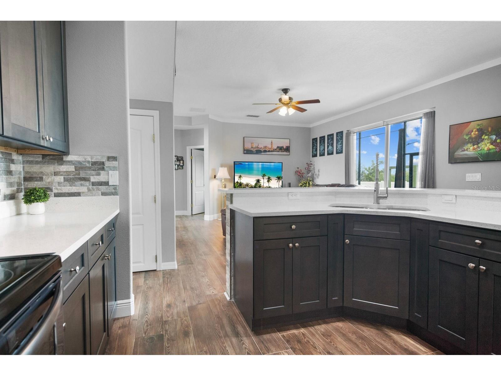 5209 Cape Hatteras Drive Clermont FL 34714 O6402321 image16