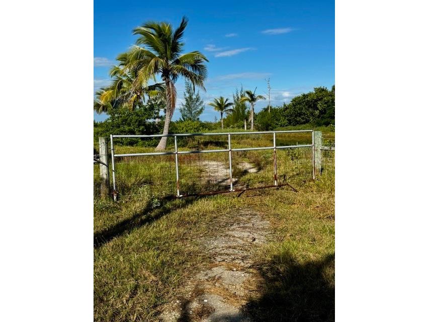 5209 Western Drive Saint James City FL 33956 O6359386 image23