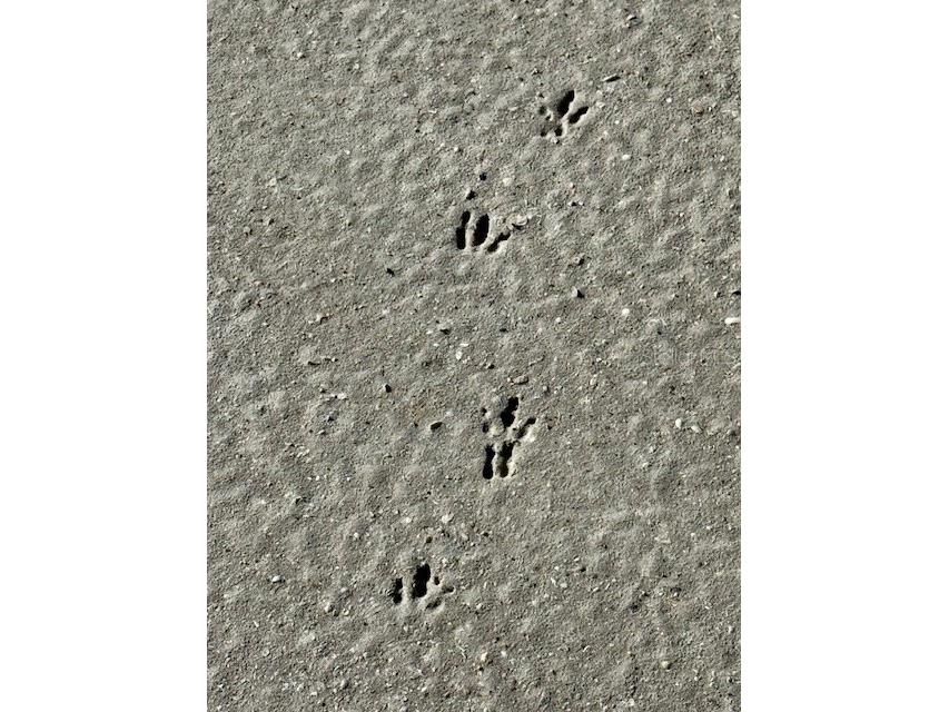 5209 Western Drive Saint James City FL 33956 O6359386 image25