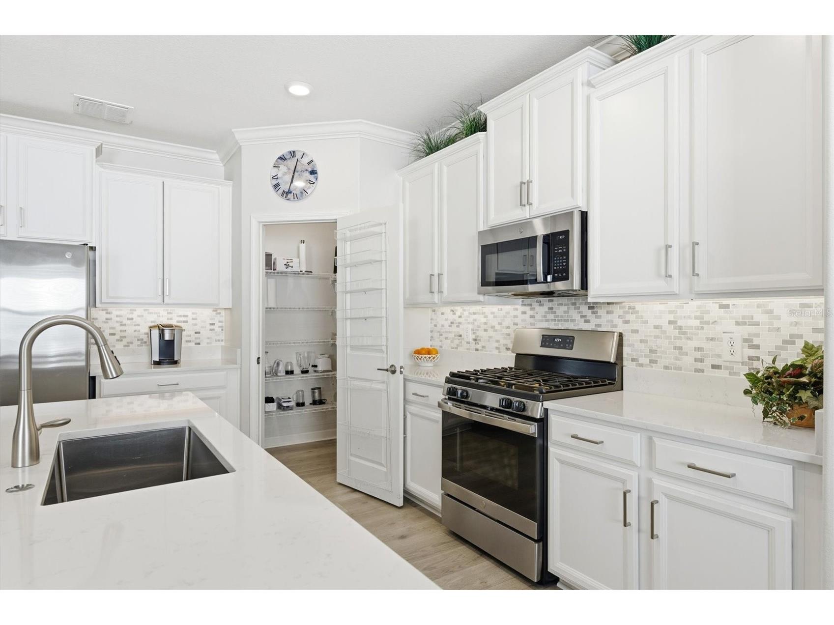 5209 Windy Grove Drive Wimauma FL 33598 A4684668 image22