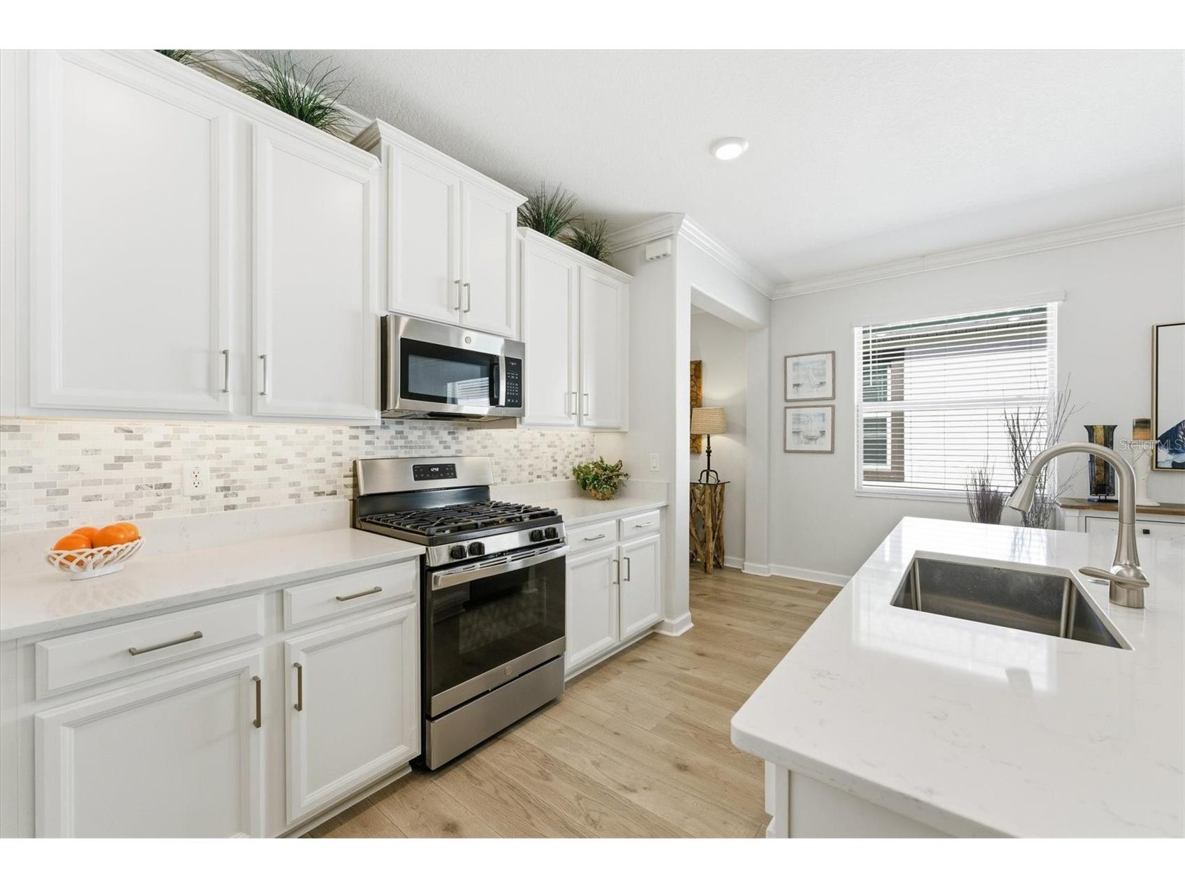 5209 Windy Grove Drive Wimauma FL 33598 A4684668 image23