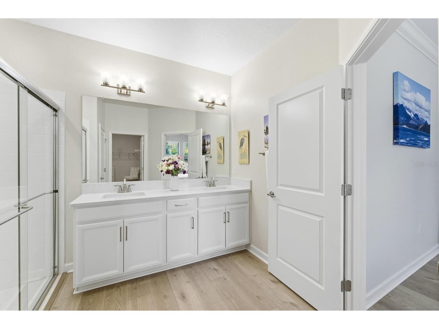 5209 Windy Grove Drive Wimauma FL 33598 A4684668 image29