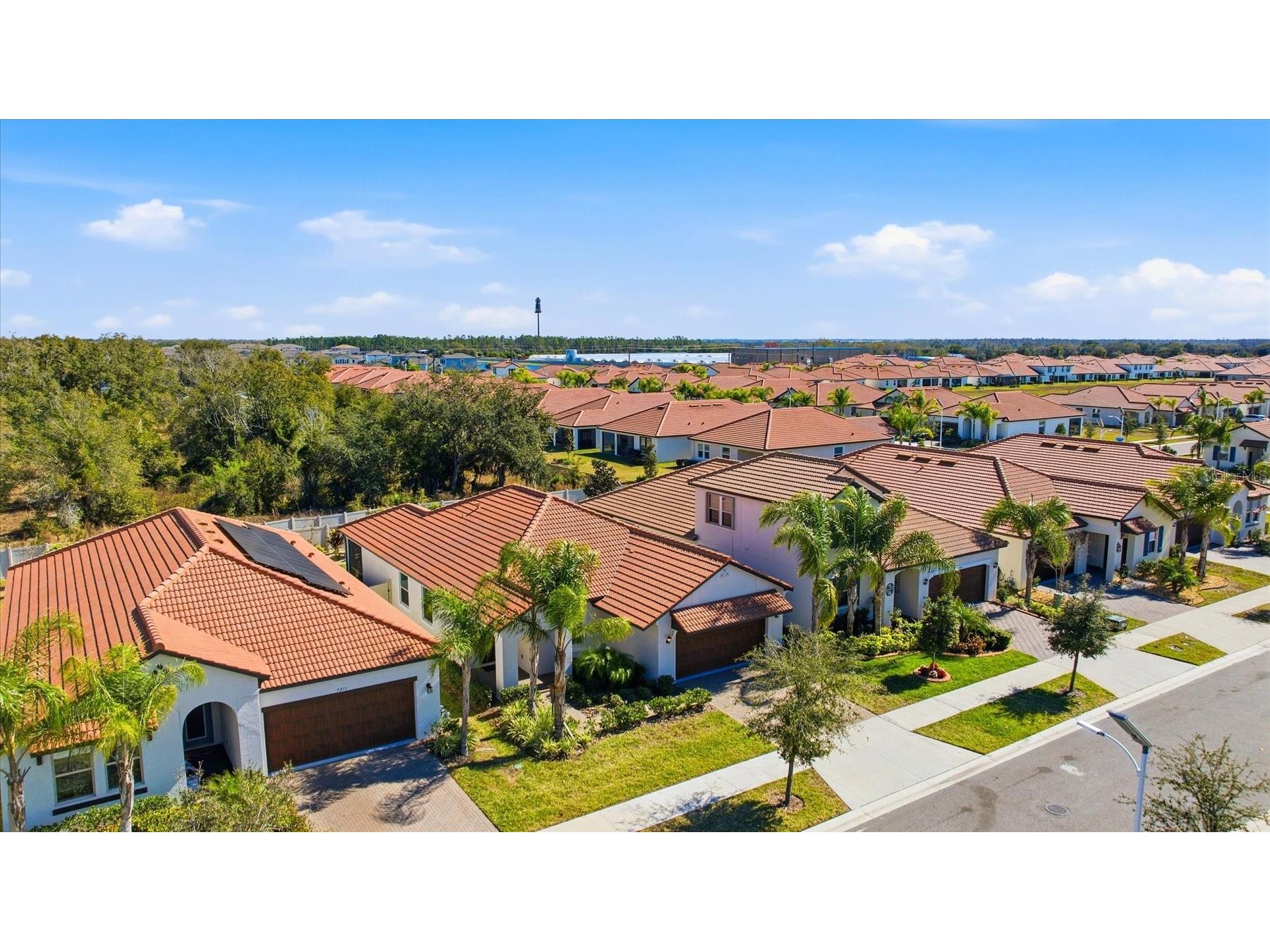 5209 Windy Grove Drive Wimauma FL 33598 A4684668 image3