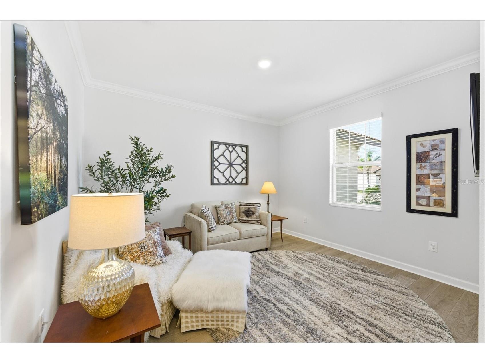 5209 Windy Grove Drive Wimauma FL 33598 A4684668 image8