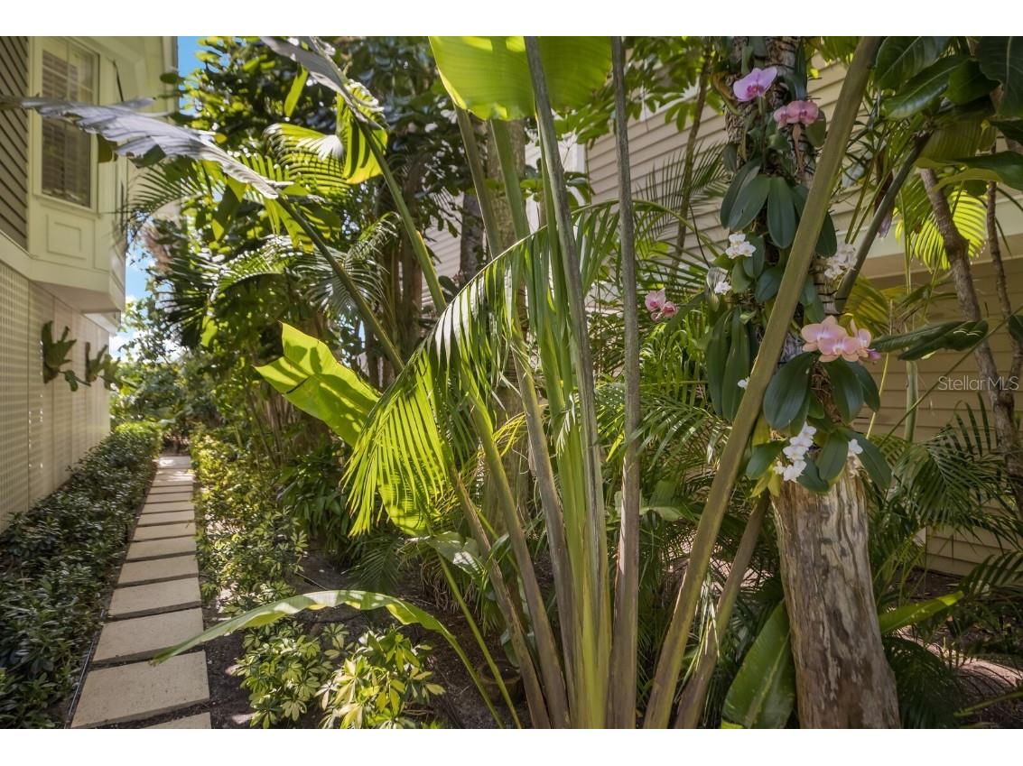 521 Buttonwood Bay Drive Boca Grande FL 33921 - CHARLOTTE HARBOR D6144328 image42