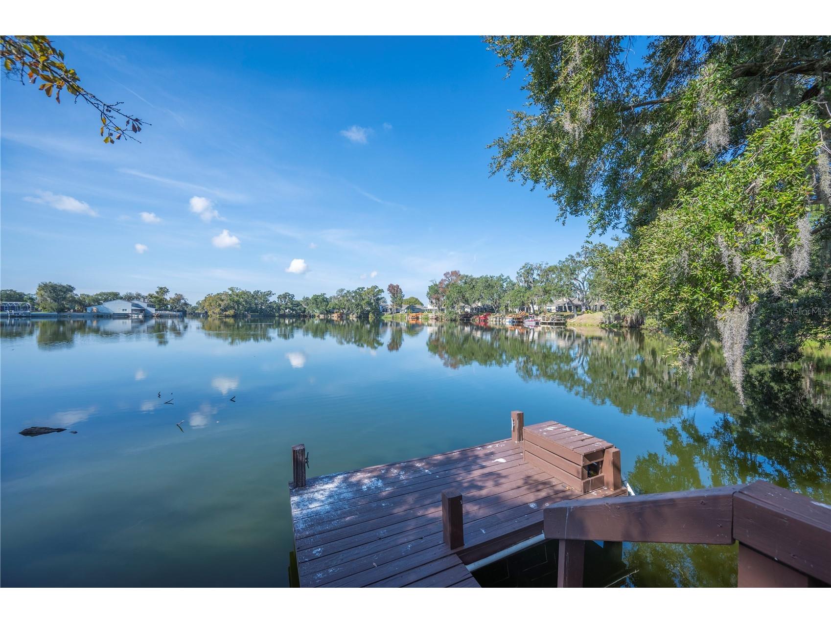 521 Century Oak Court Lakeland FL 33813 - CLARK LAKE NORTH L4957323 image6