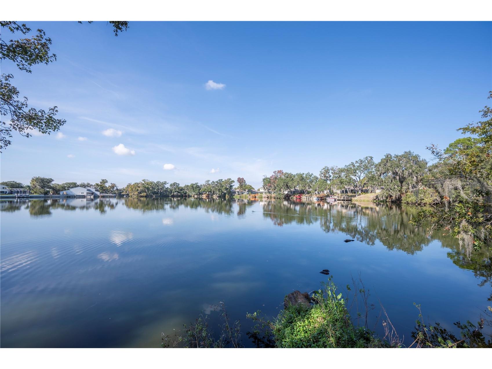 521 Century Oak Court Lakeland FL 33813 - CLARK LAKE NORTH L4957323 image68