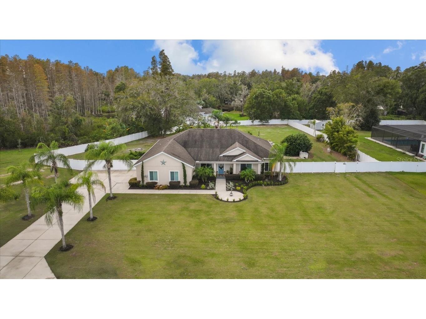 521 Cullaro Lane Lutz FL 33549 T3489532 image1