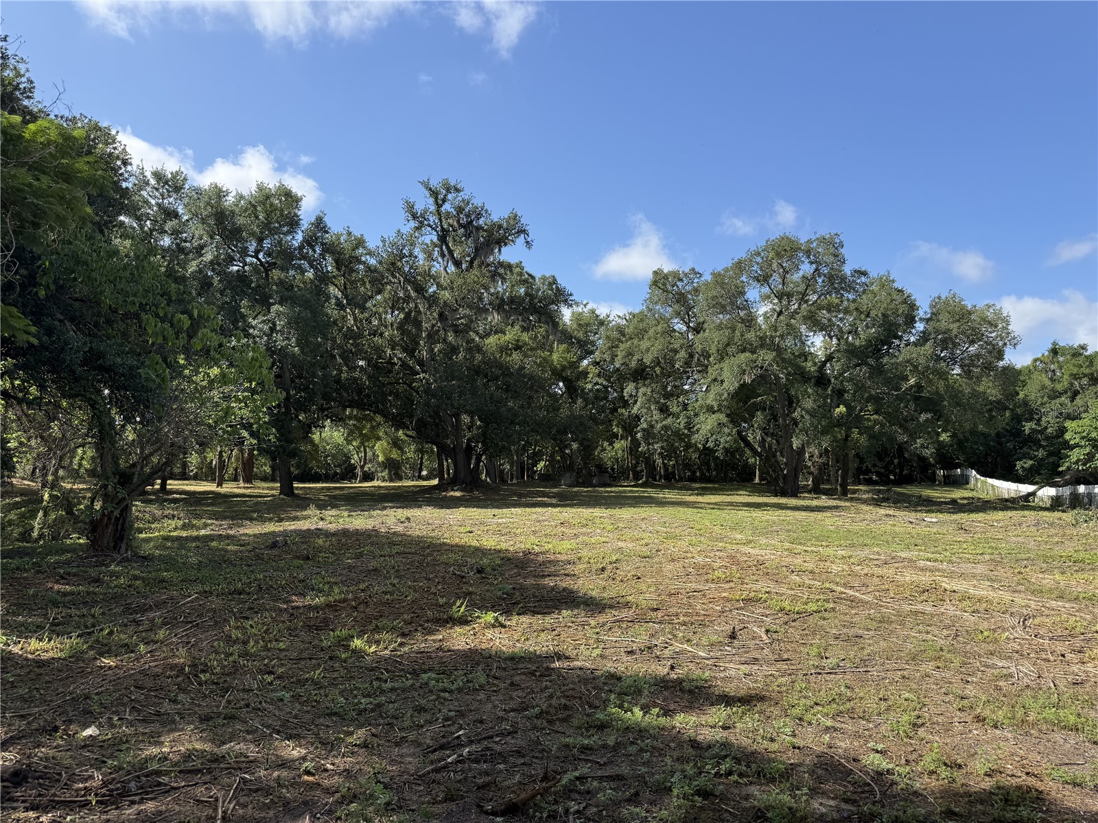 521 E Clay Avenue Brandon FL 33510 TB8511287 image10