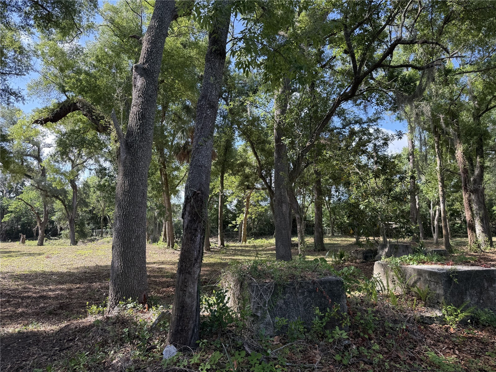 521 E Clay Avenue Brandon FL 33510 TB8511287 image11
