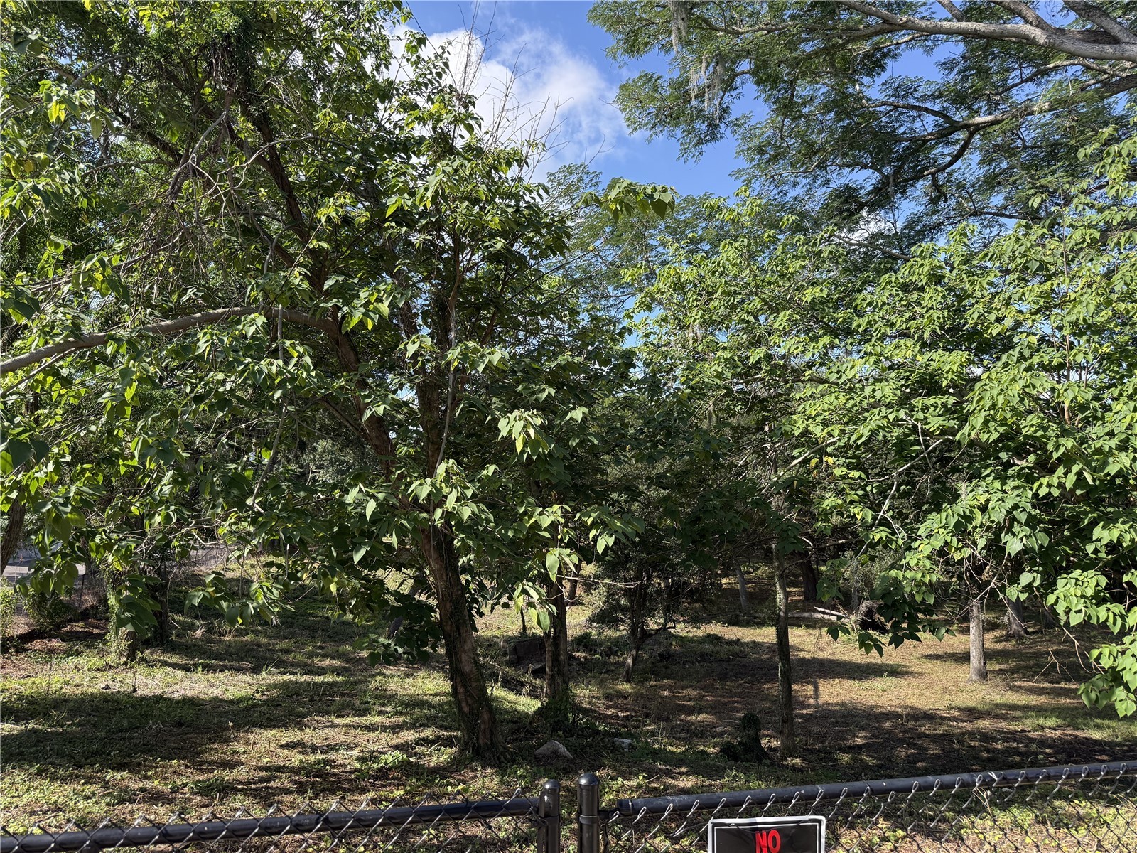 521 E Clay Avenue Brandon FL 33510 TB8511287 image3
