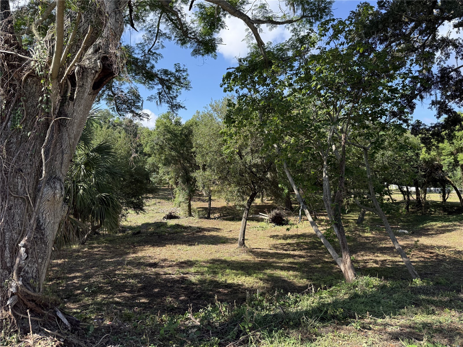 521 E Clay Avenue Brandon FL 33510 TB8511287 image4