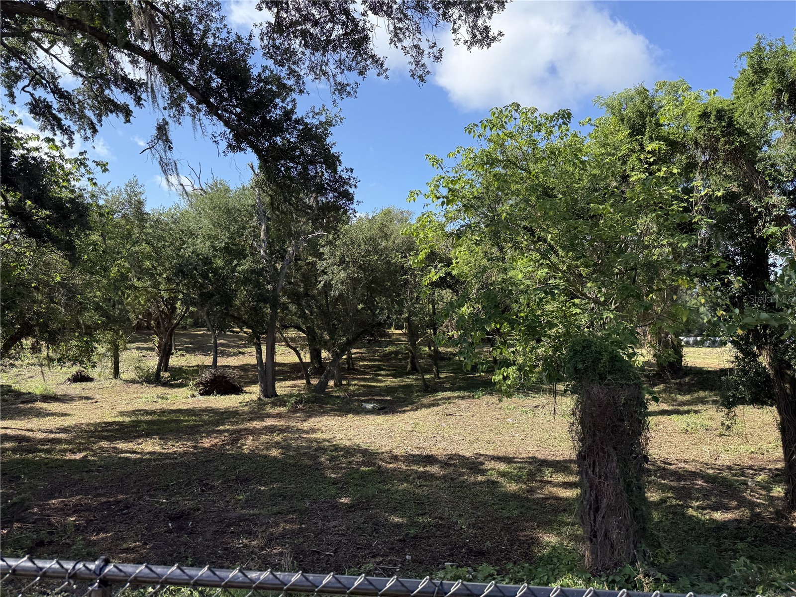 521 E Clay Avenue Brandon FL 33510 TB8511287 image5