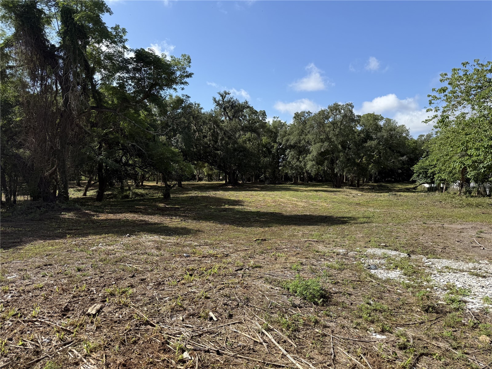 521 E Clay Avenue Brandon FL 33510 TB8511287 image9