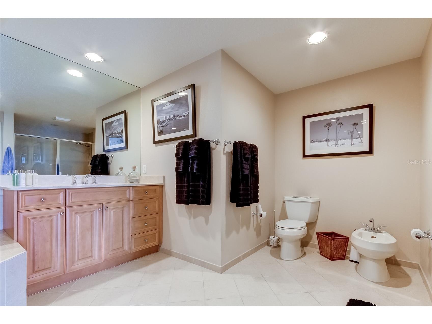 521 Mandalay Avenue #1109 Clearwater Beach FL 33767 TB8495706 image13
