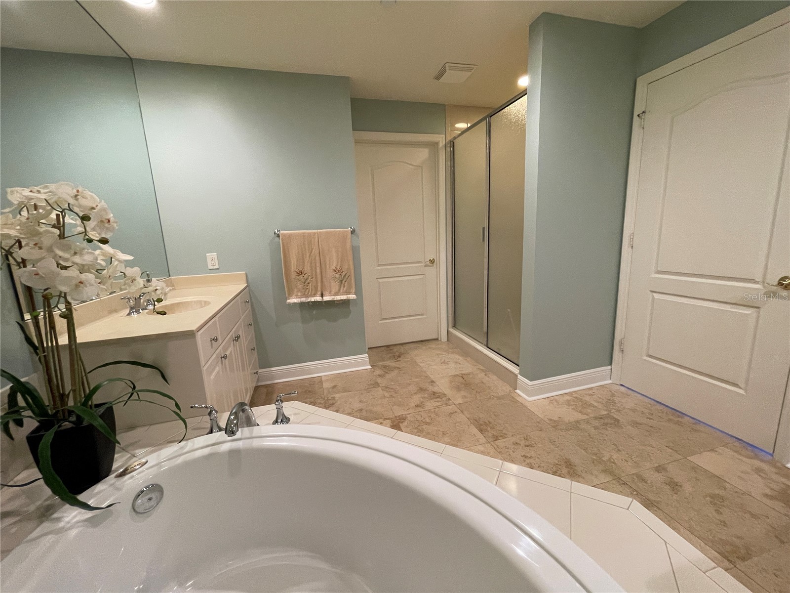 521 Mandalay Avenue #309 Clearwater Beach FL 33767 TB8472054 image18
