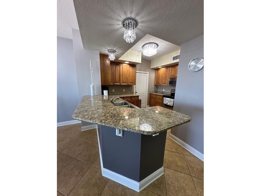 521 Mandalay Avenue #704 Clearwater Beach FL 33767 - MANDALAY CHANNEL TB8521232 image51