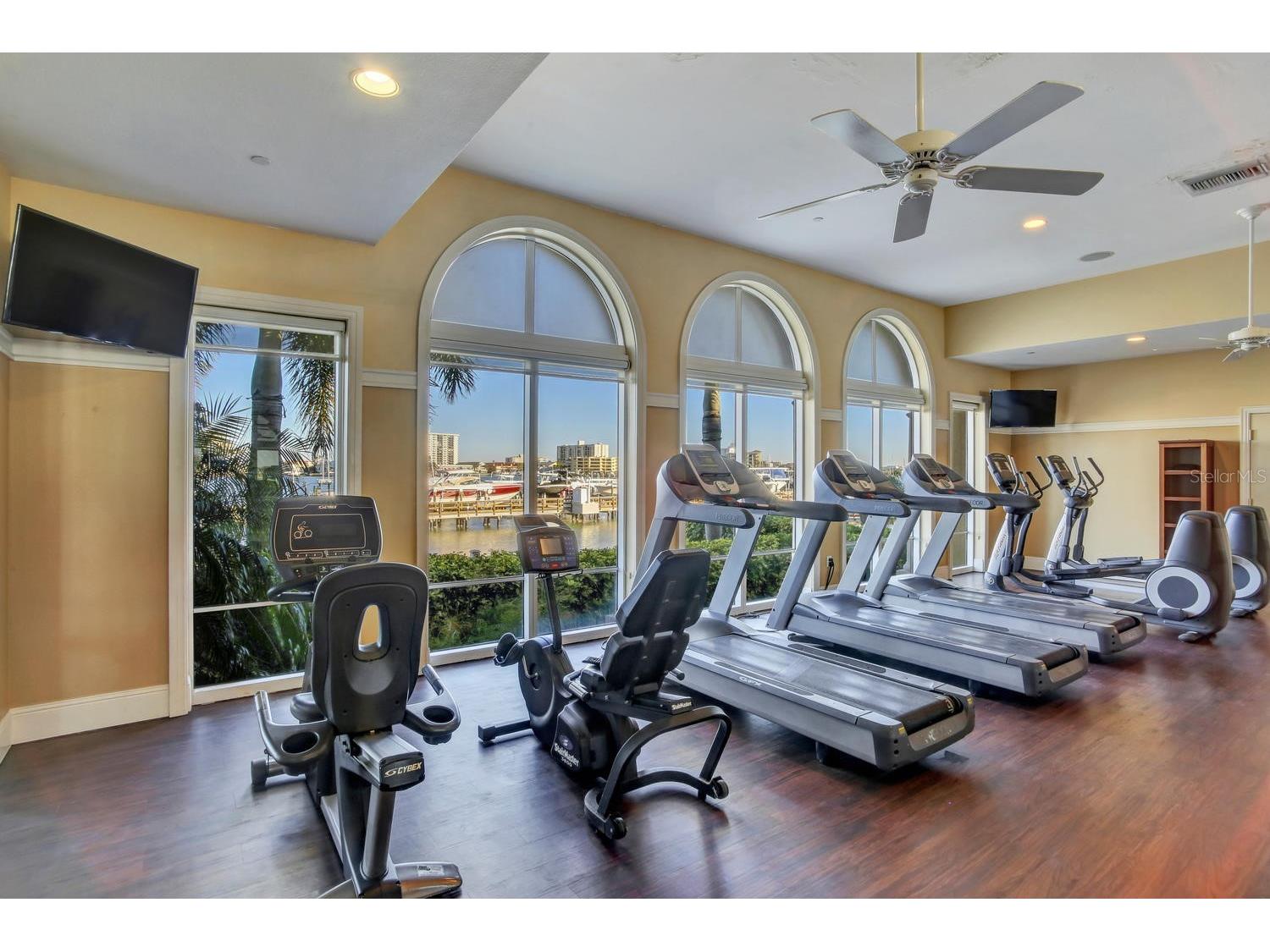 521 Mandalay Avenue #704 Clearwater Beach FL 33767 - MANDALAY CHANNEL TB8521232 image76