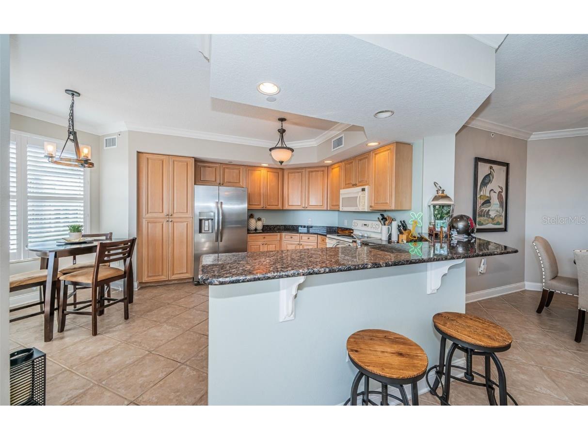 521 Mandalay Avenue #907 Clearwater Beach FL 33767 - MANDALAY CHANNEL TB8454683 image21