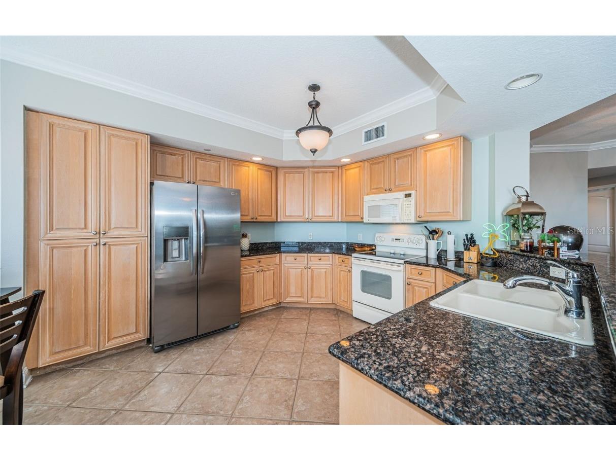 521 Mandalay Avenue #907 Clearwater Beach FL 33767 - MANDALAY CHANNEL TB8454683 image22