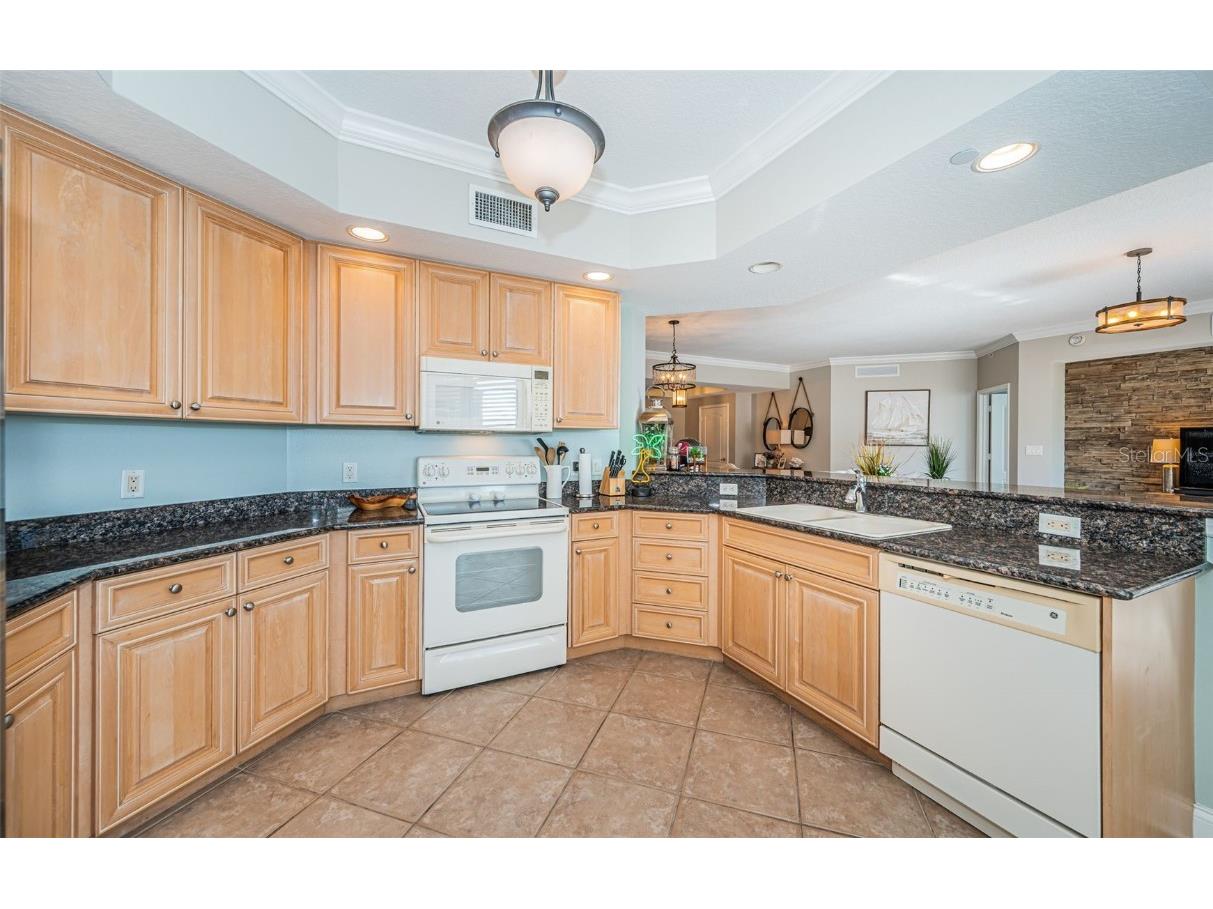 521 Mandalay Avenue #907 Clearwater Beach FL 33767 - MANDALAY CHANNEL TB8454683 image23