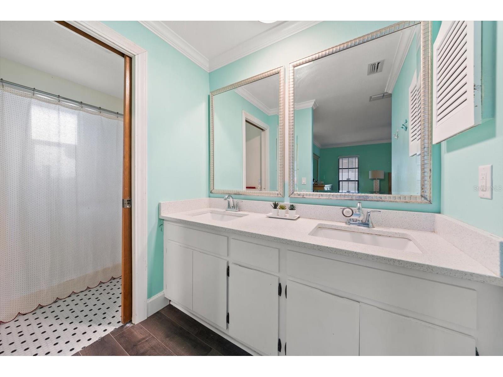 521 Meravan Drive Palm Harbor FL 34683 TB8516343 image15