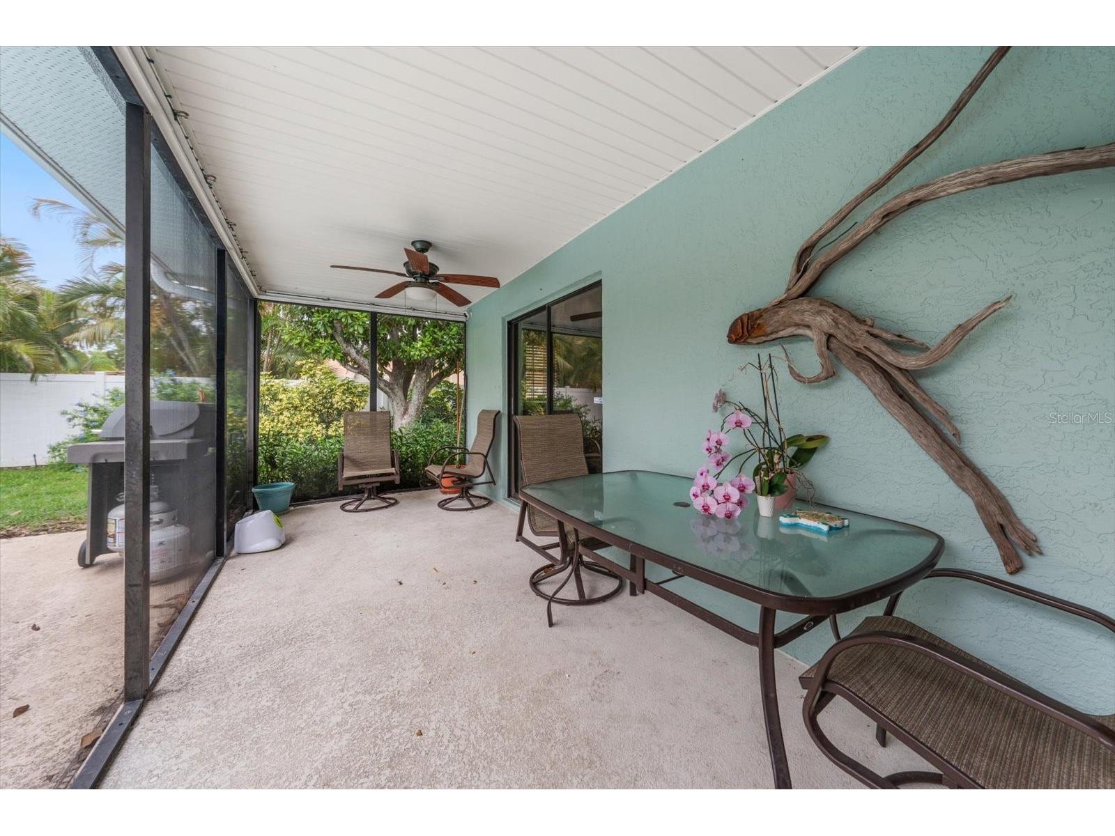 521 Meravan Drive Palm Harbor FL 34683 TB8516343 image24