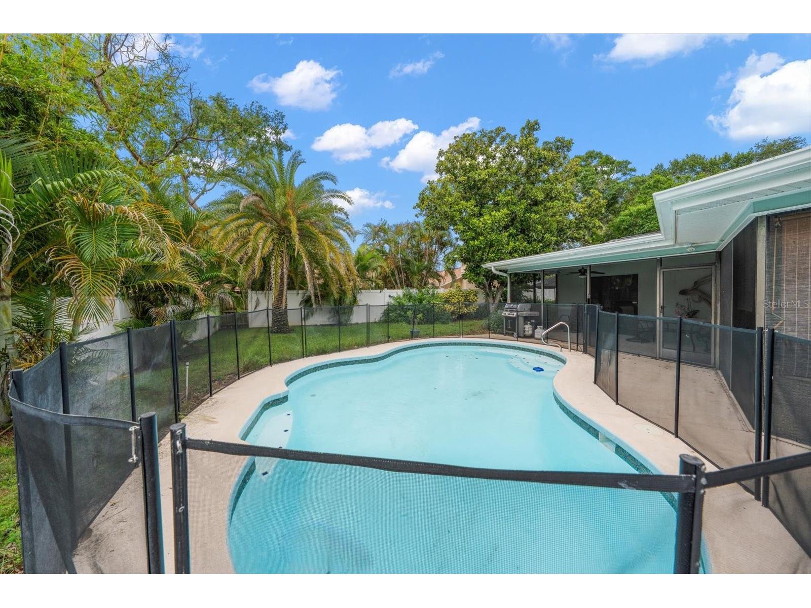 521 Meravan Drive Palm Harbor FL 34683 TB8516343 image26
