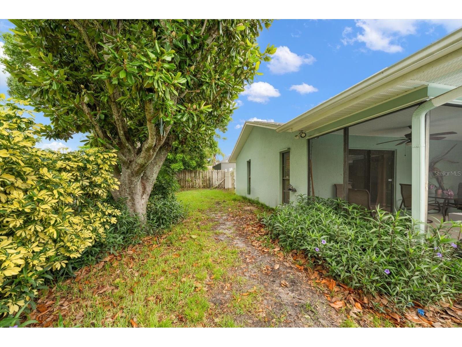 521 Meravan Drive Palm Harbor FL 34683 TB8516343 image28