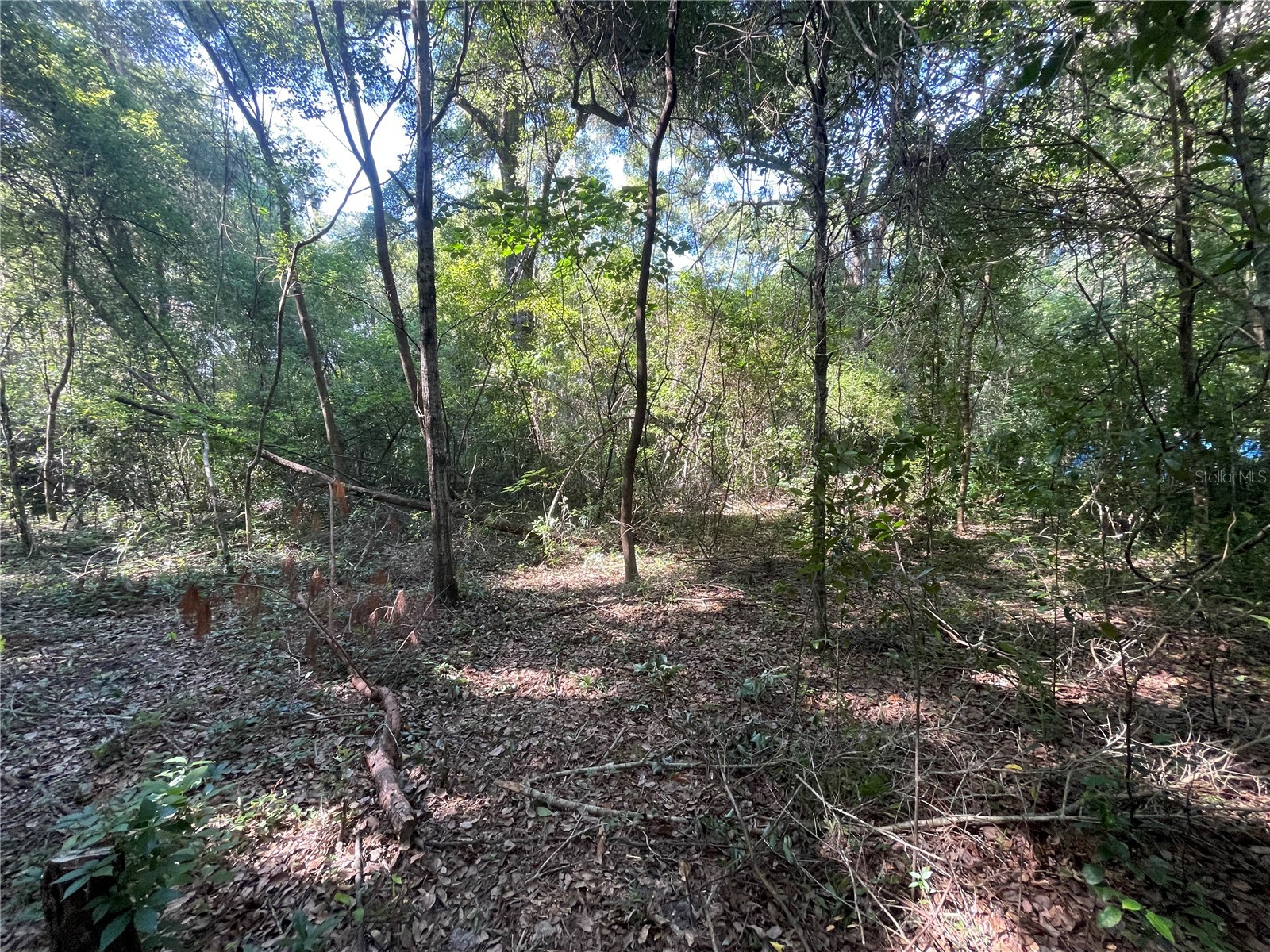 521 NE 31st Street Ocala FL 34479 OM711000 image3