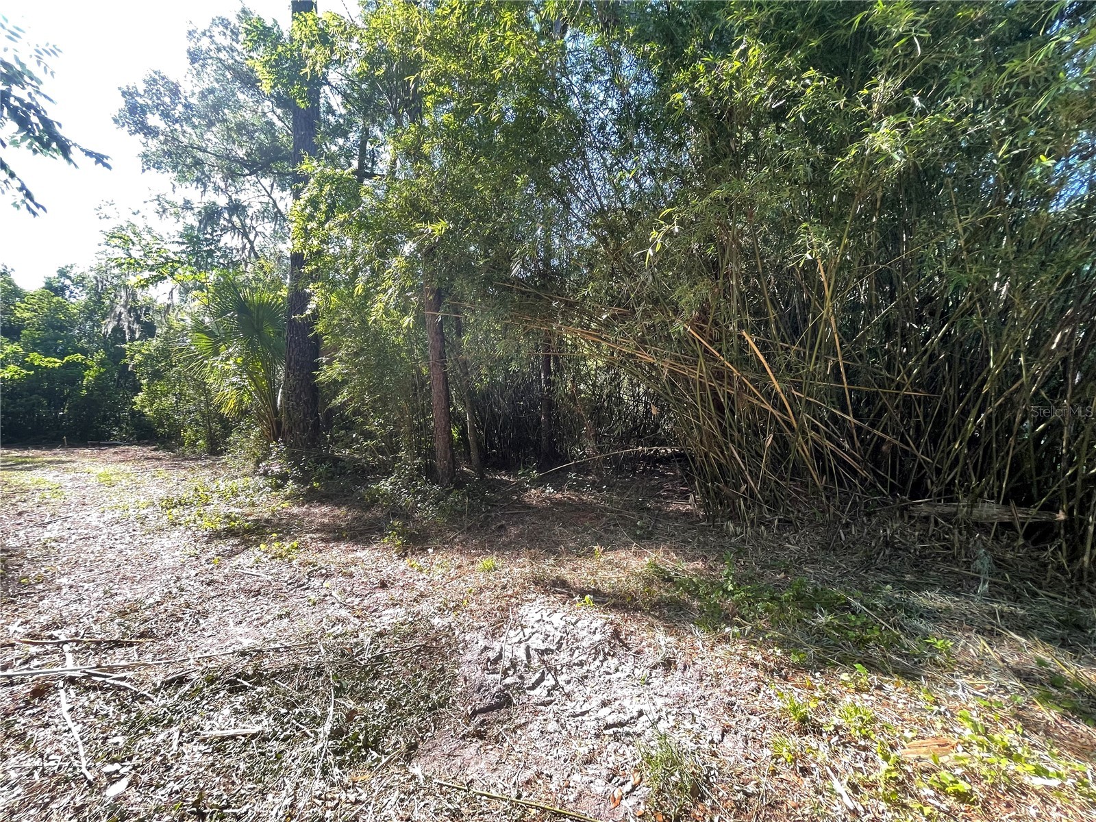521 NE 31st Street Ocala FL 34479 OM711000 image4