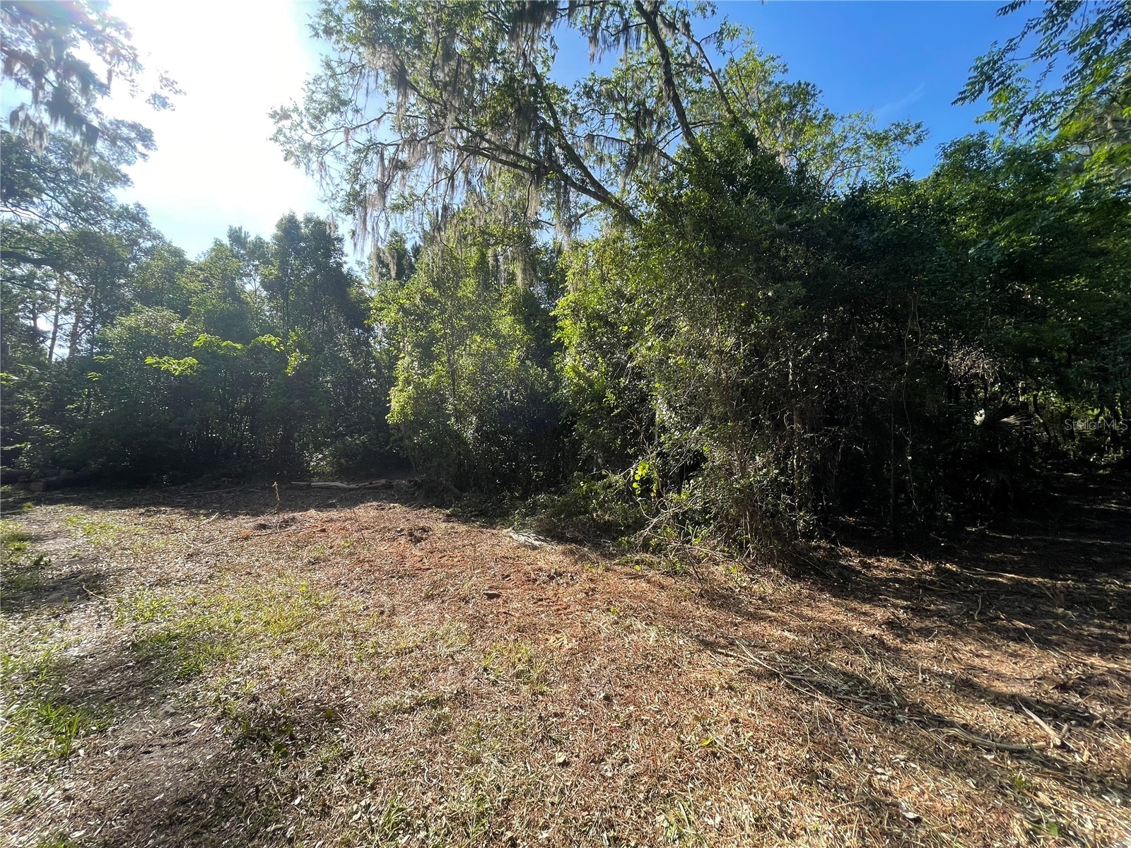 521 NE 31st Street Ocala FL 34479 OM711000 image5