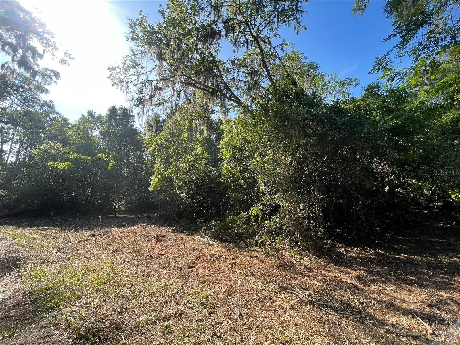 521 NE 31st Street Ocala FL 34479 OM711000 image6