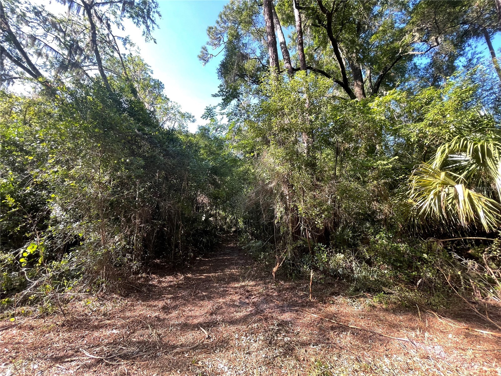 521 NE 31st Street Ocala FL 34479 OM711000 image7