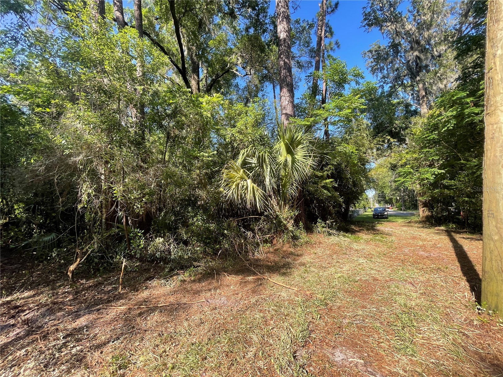 521 NE 31st Street Ocala FL 34479 OM711000 image8