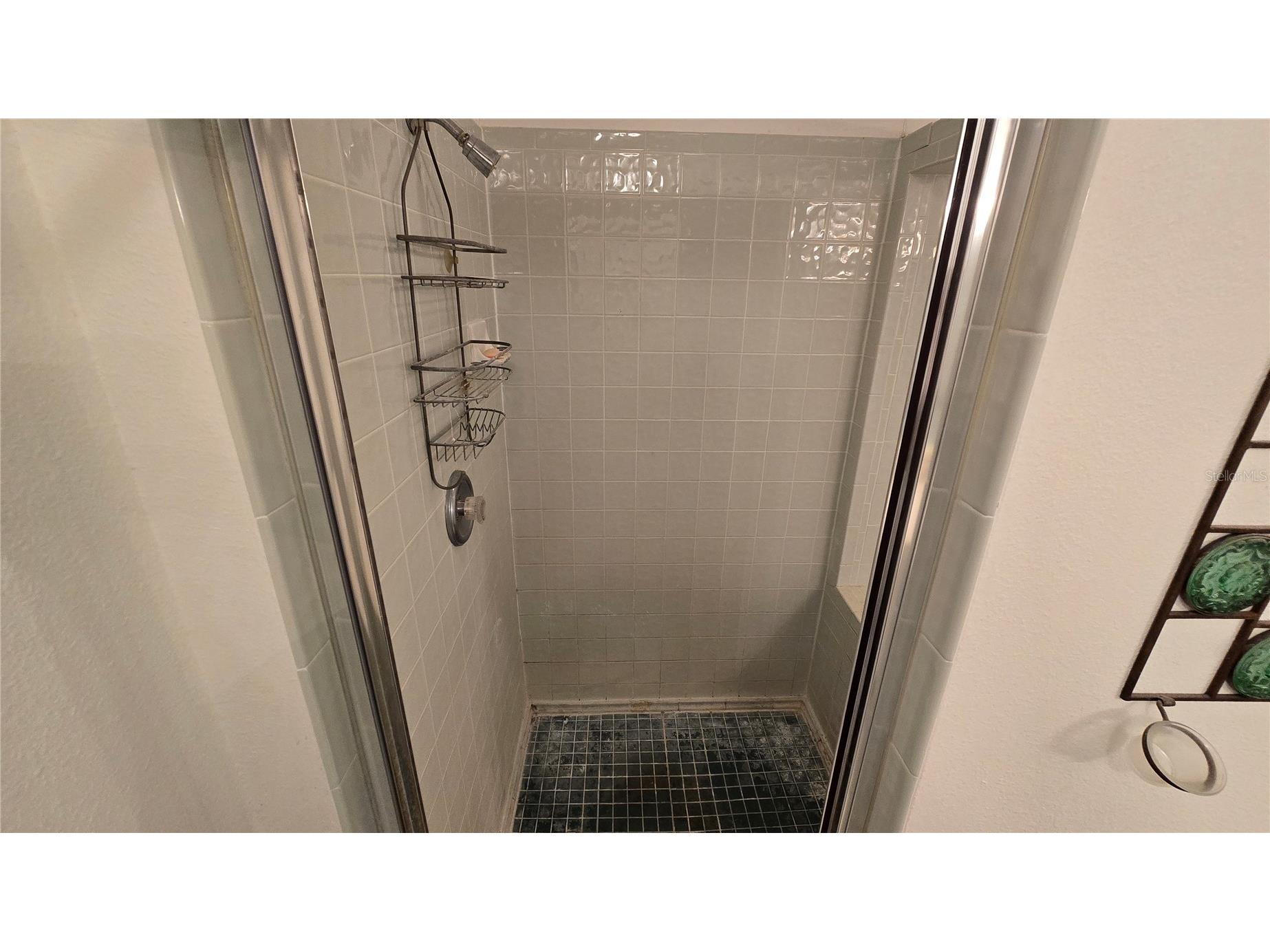 521 Pinellas Bayway S #206 Tierra Verde FL 33715 TB8528852 image35
