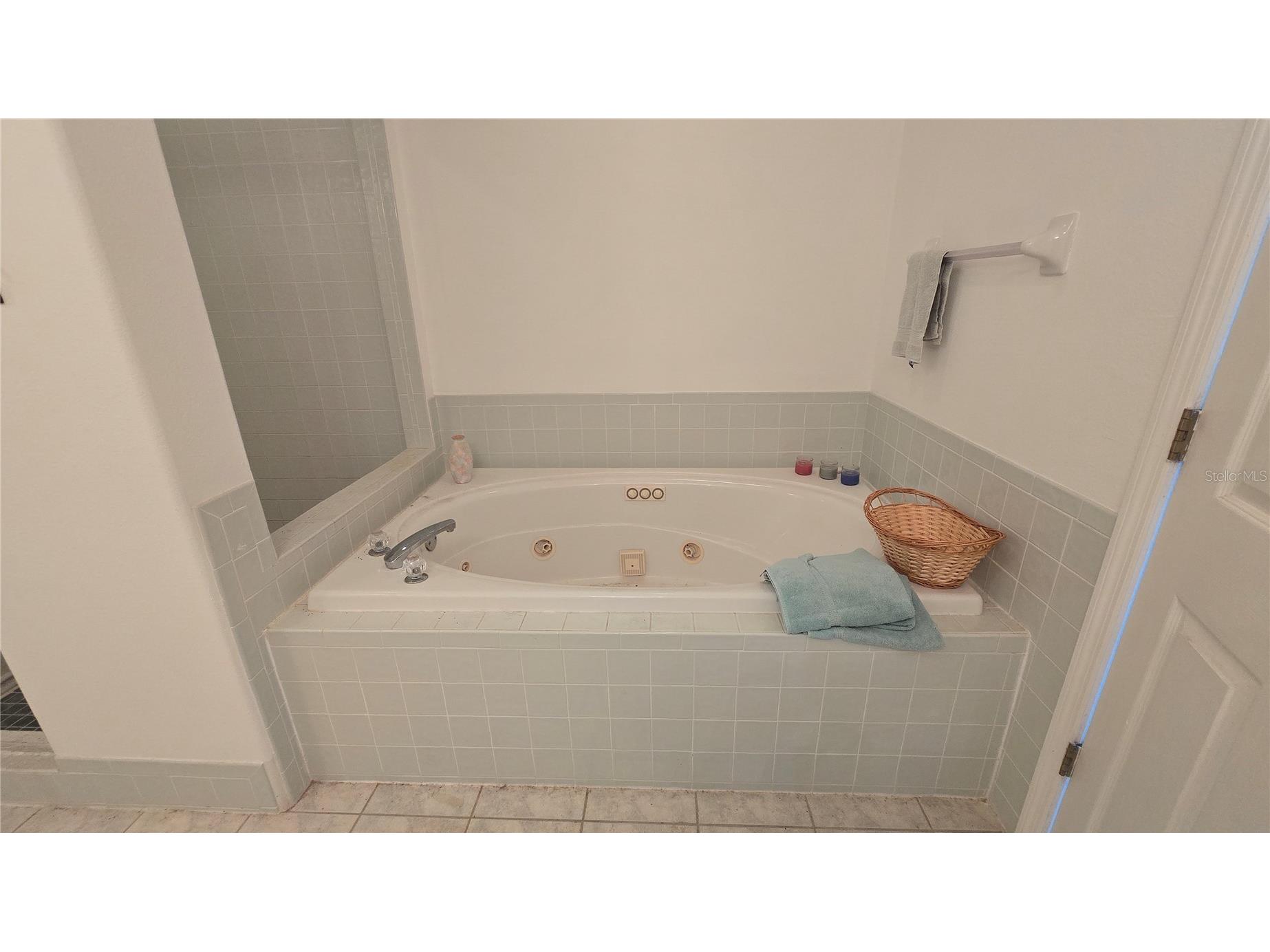 521 Pinellas Bayway S #206 Tierra Verde FL 33715 TB8528852 image36