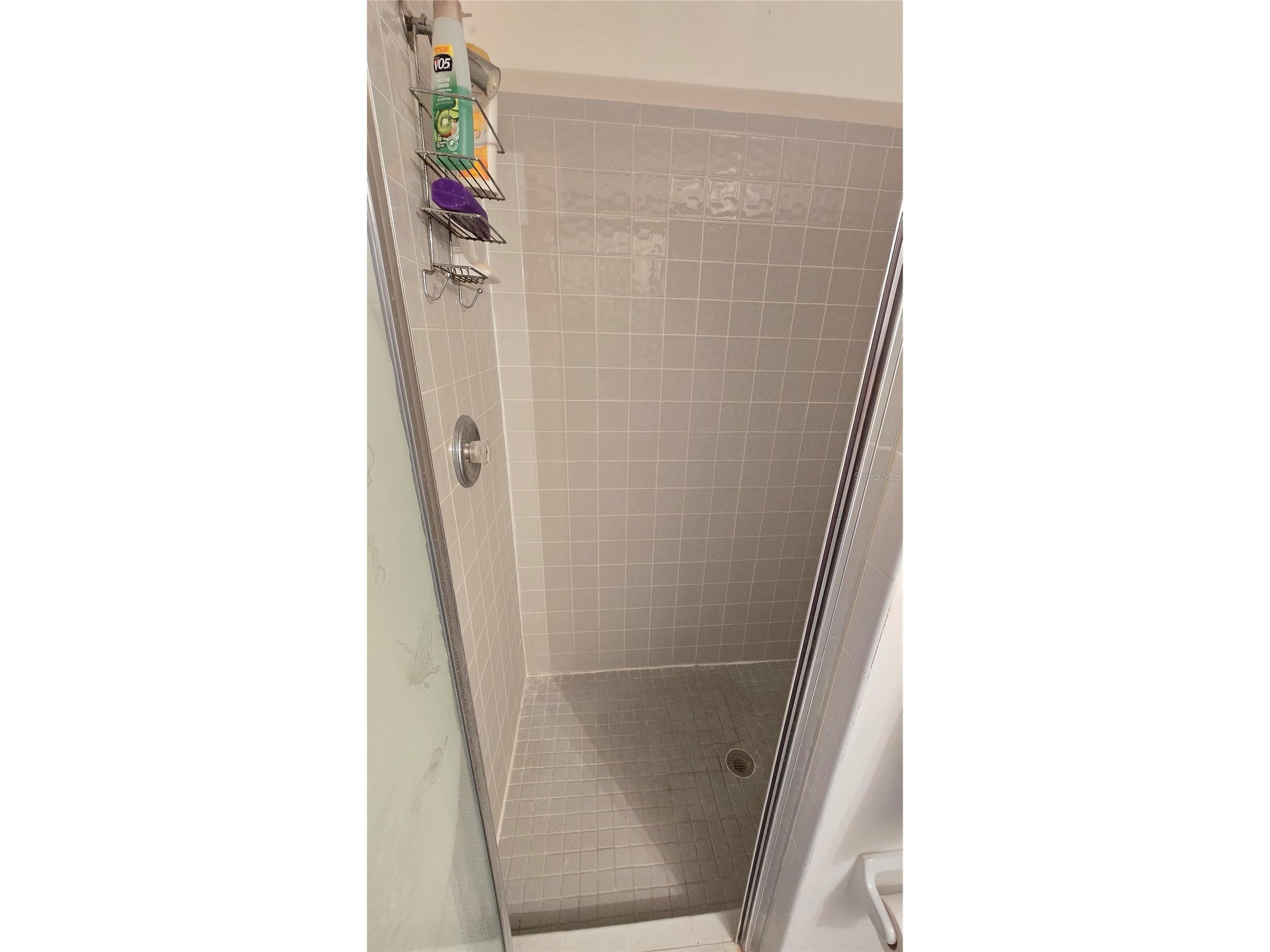 521 Pinellas Bayway S #206 Tierra Verde FL 33715 TB8528852 image41