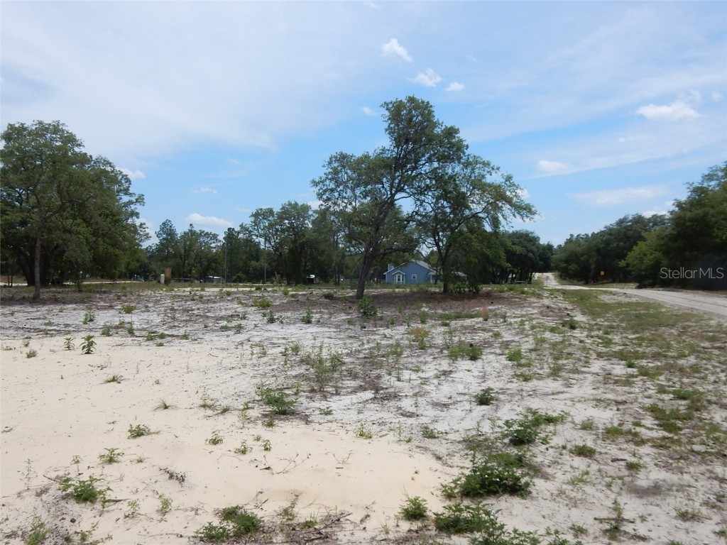 521 SE 145th Terrace Williston FL 32696 OM657546 image1