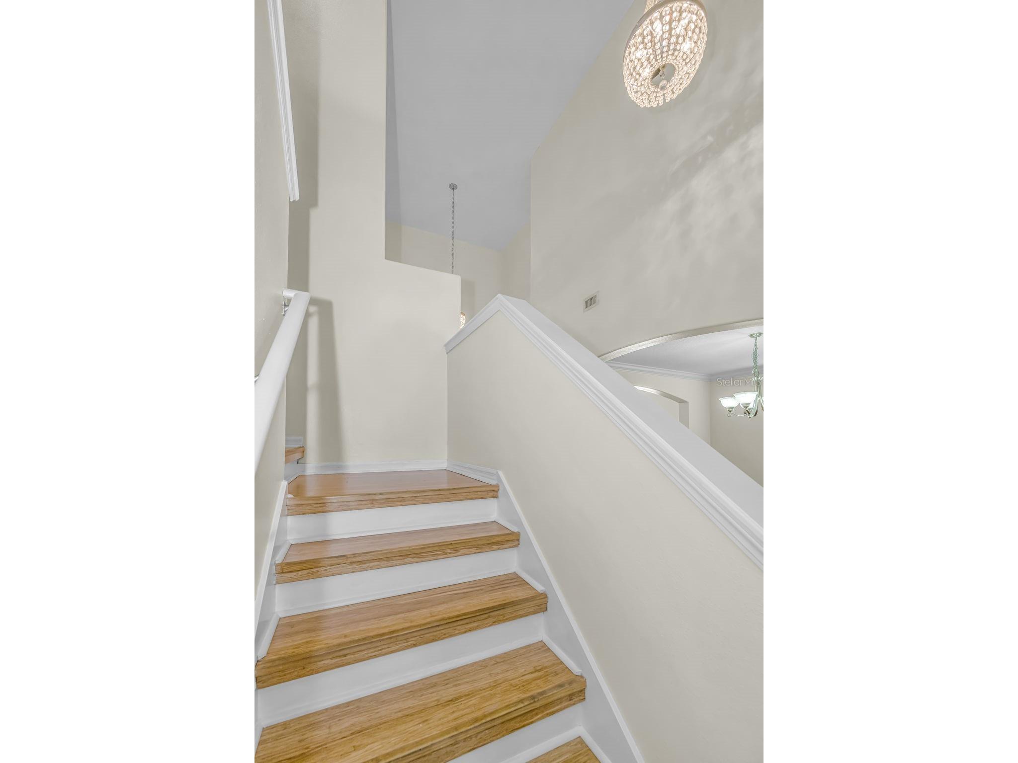 521 Vista Ridge Drive Ruskin FL 33570 TB8479926 image38