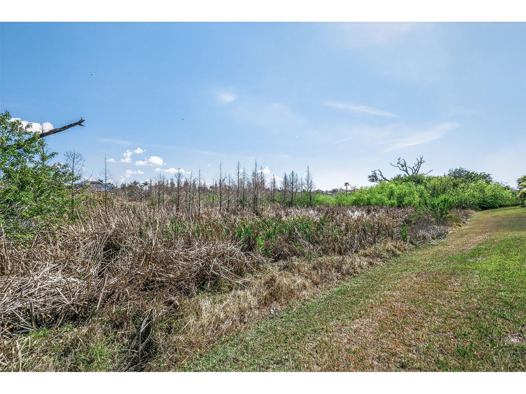 521 Vista Ridge Drive Ruskin FL 33570 TB8479926 image60