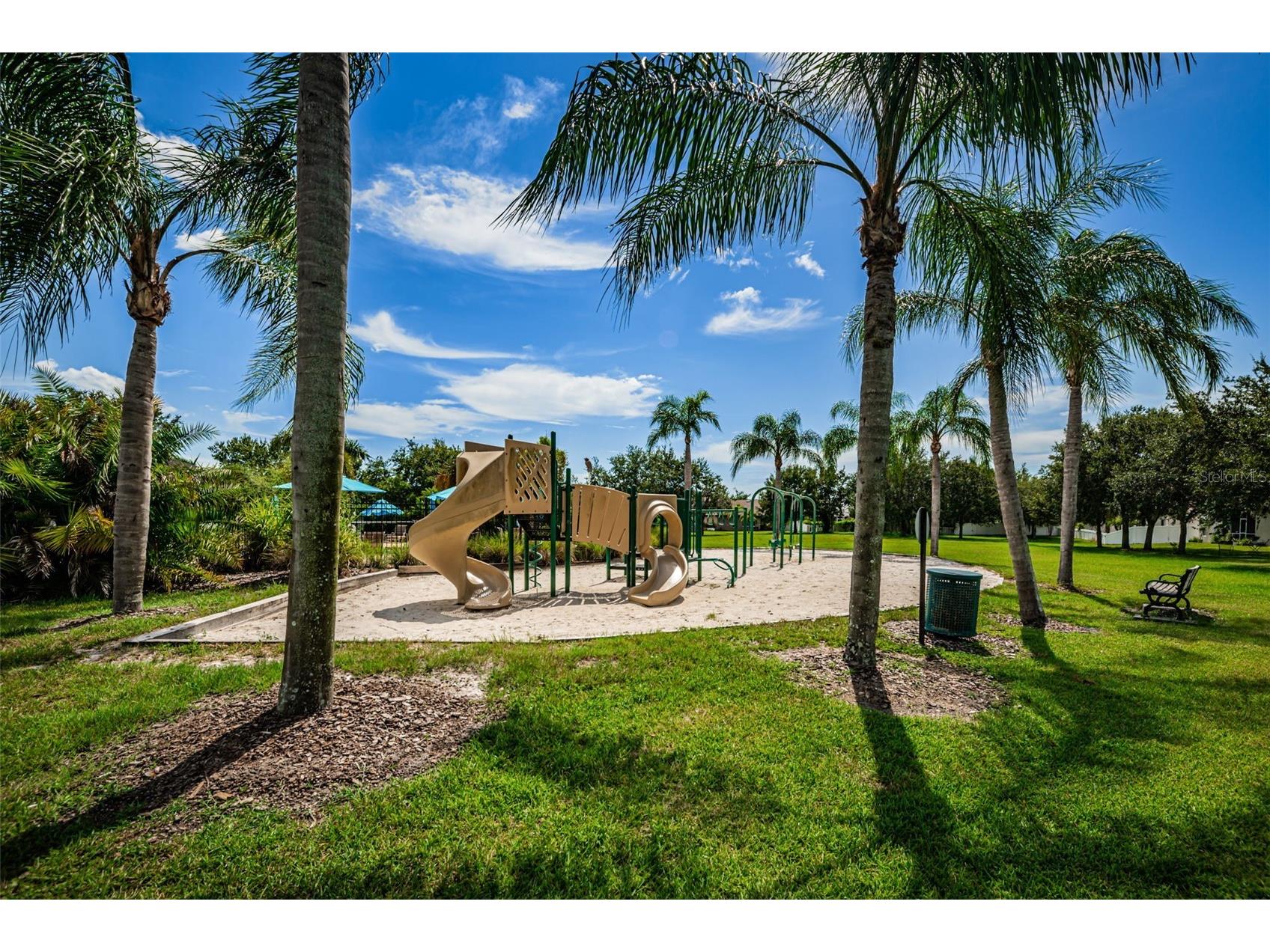 521 Vista Ridge Drive Ruskin FL 33570 TB8479926 image77