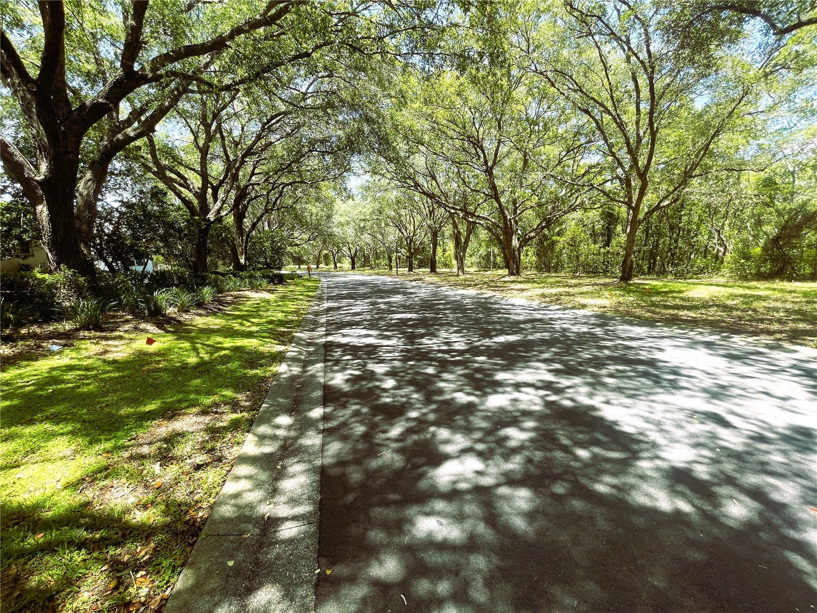 521 W Hillwood Path Beverly Hills FL 34465 TB8520112 image4