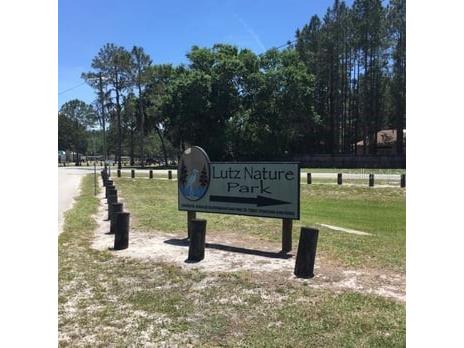 521 W Lutz Lake Fern Road Lutz FL 33548 TB8510014 image40