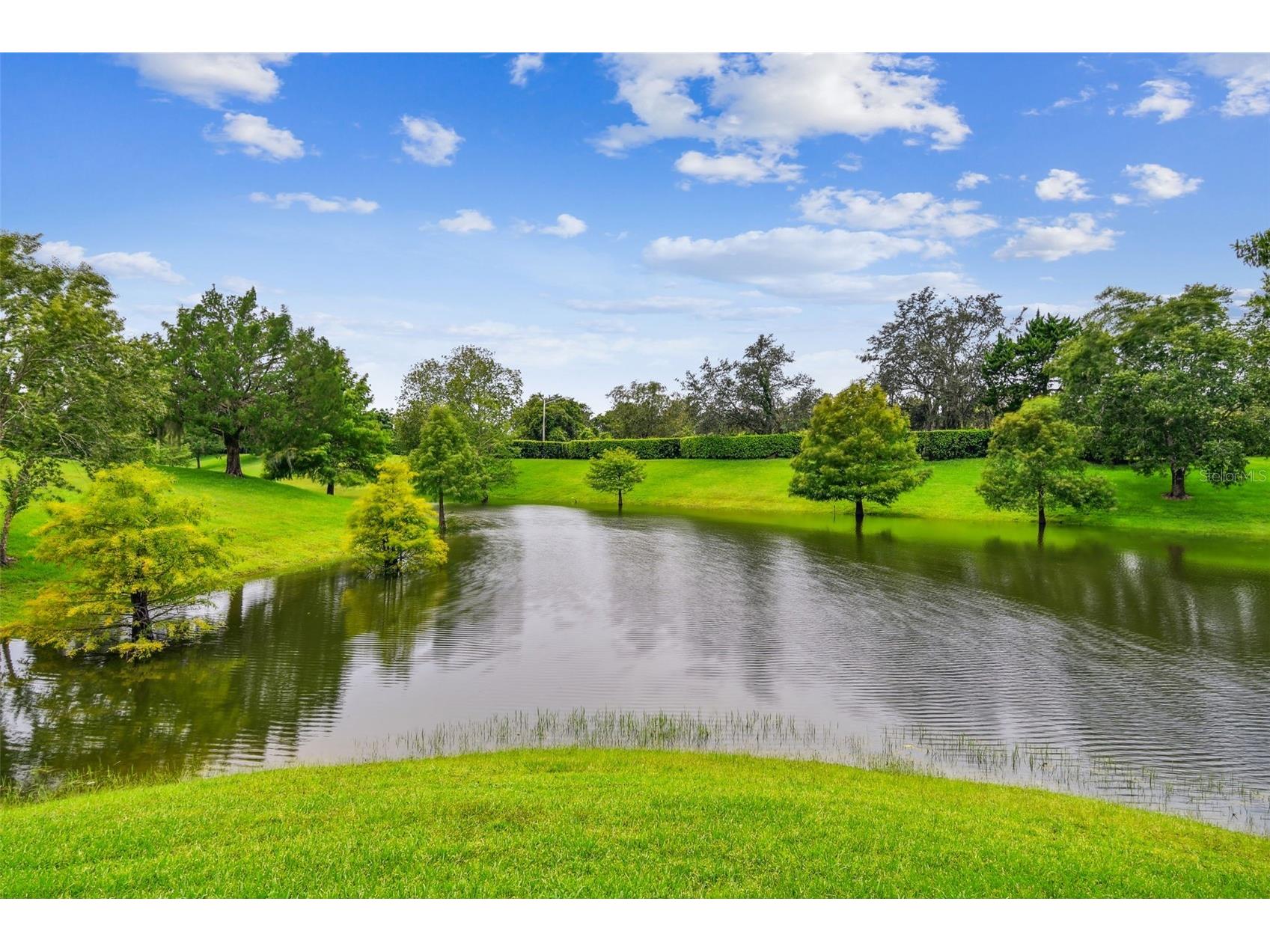 521 Weston Place Debary FL 32713 O6414071 image57