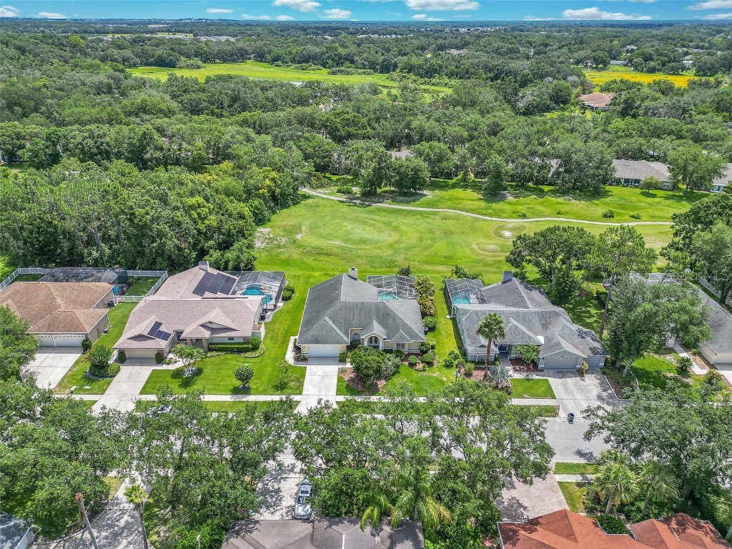 5210 Camberlea Avenue Zephyrhills FL 33541 OM704770 image49